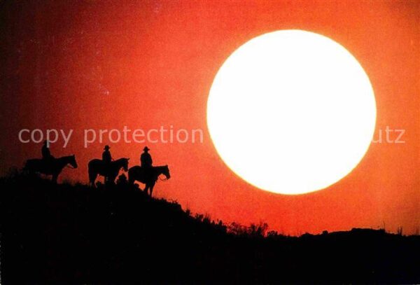 Cowboys Texas Sonnenuntergang