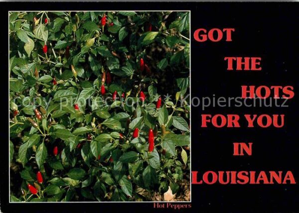 Lebensmittel Red Hot Peppers Louisiana