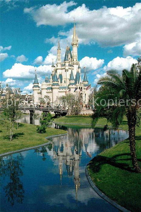 Walt Disney World Fairy-Tale Castle Cinderella Castle Fan