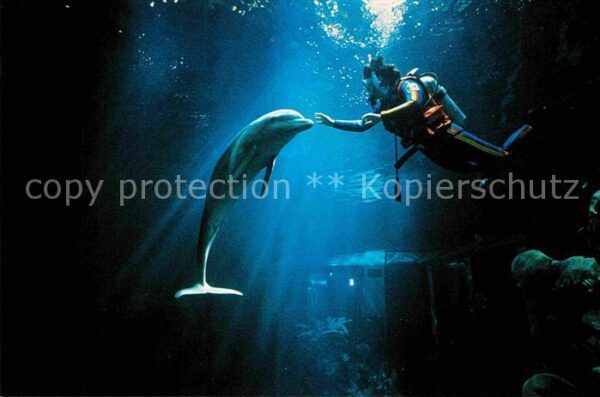 Delfine Delphine Dolphins Dauphins Delfi Divers in the Deep The Living Seas Walt