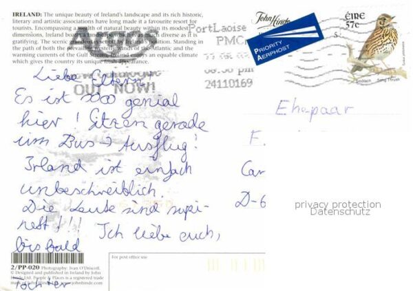 Schafe Ireland – Bild 2