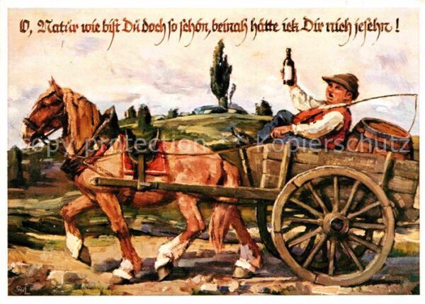 Pferde Pferdekarren Emil-Kohn-Verlag-München