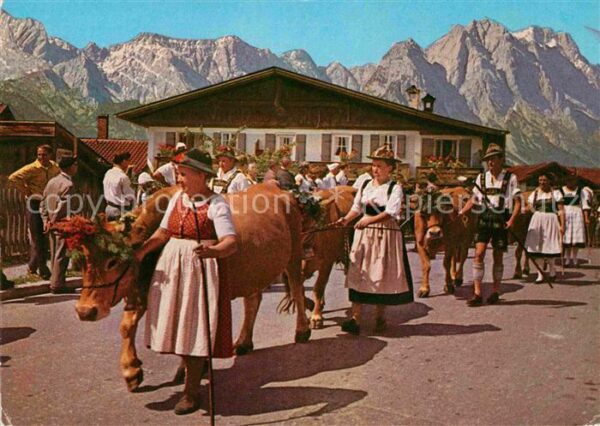 Kuehe Almabtrieb Garmisch Höllental Waxenstei