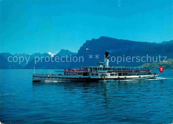 Dampfer Seitenrad Uri Vierwaldstättersee