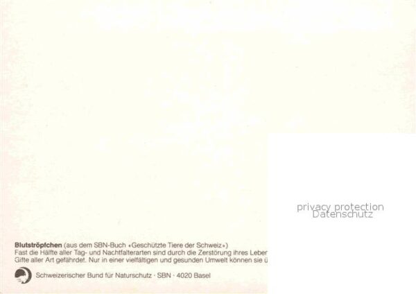 Schmetterlinge Blutströpfchen Bund für Naturschutz Sch – Bild 2
