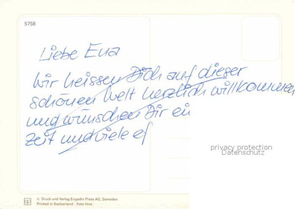 Katzen Blumen – Bild 2