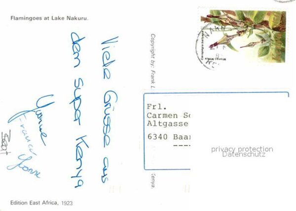 Flamingo Lake Nakuru Kenia – Bild 2