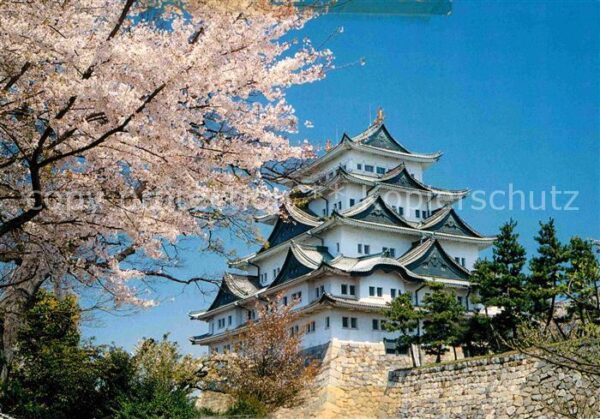 Nagoya Castle
