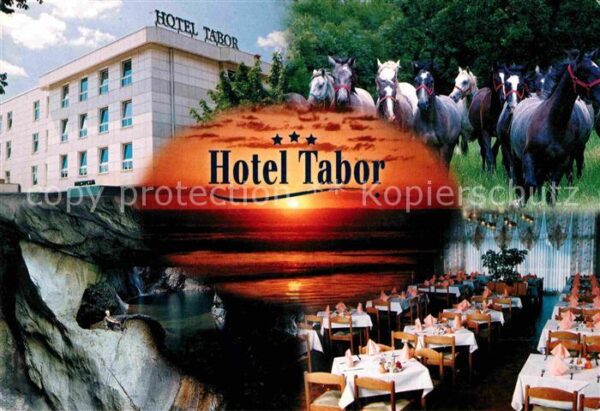 Sezana Hotel Tabor Pferde Höhle Restaurant