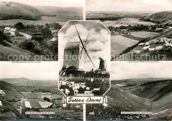Sussex Windmühle Schafe Landschaften