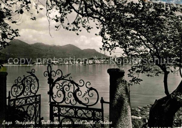 Lago Maggiore Pallanza vista dall Isola Madre