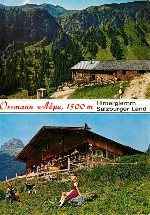 Hinterglemm Saalbach Ossmann Alpe Ausflugsziel Allgäuer Alpe