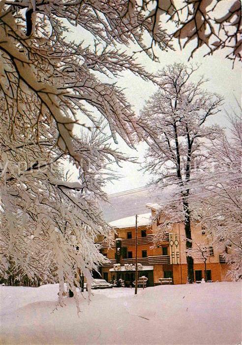 Leiza Hotel Basa Kabi im Winter