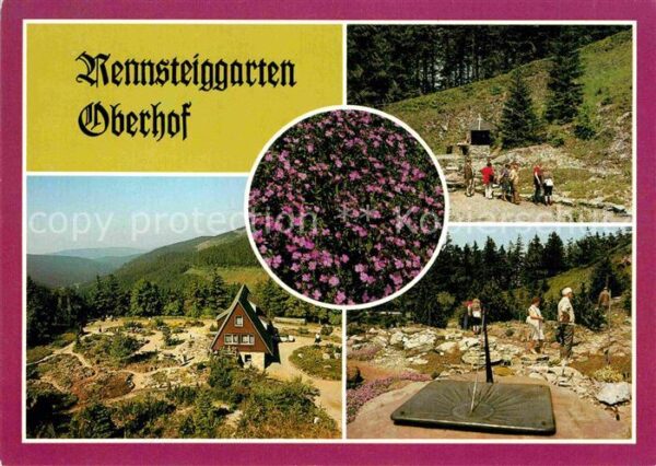 Oberhof Thueringen Rennsteiggarten Gebirgsflora Wandern Be