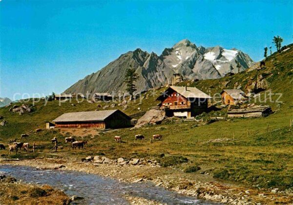 Matrei Osttirol Steiner-Alm Kristallkopf Hintereggerkog