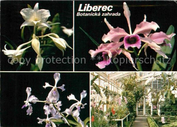 Liberec Botanicka Zahrada