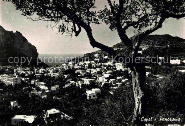 Capri Panorama