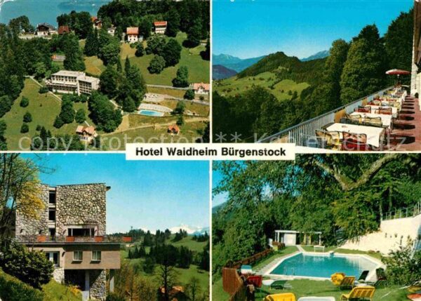 Buergenstock Vierwaldstaettersee Hotel Waldheim Swimming Pool Alpenblick