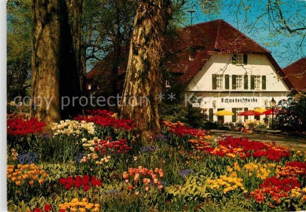 Insel Mainau Schwedenschenke im Frühling