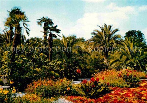 Bad Pyrmont Kurpark Palmengarten