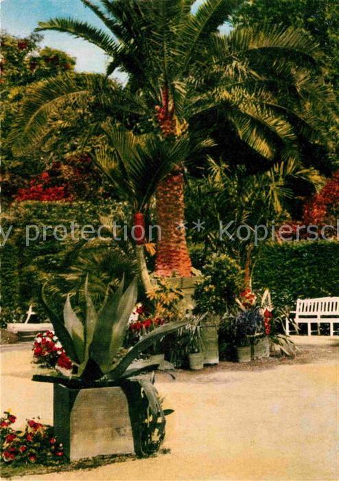 Bad Pyrmont Palmengarten