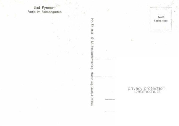 Bad Pyrmont Palmengarten – Bild 2