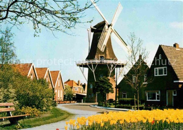 Heerenveen Ortspartie mit Winmühle