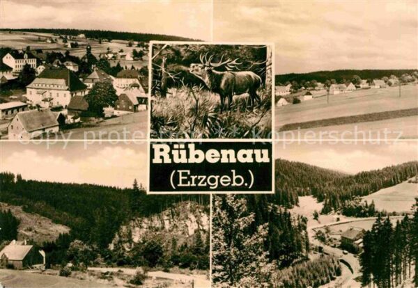 Ruebenau