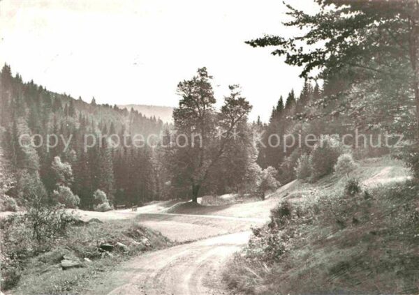 Schmiedefeld Rennsteig Im Vessertal