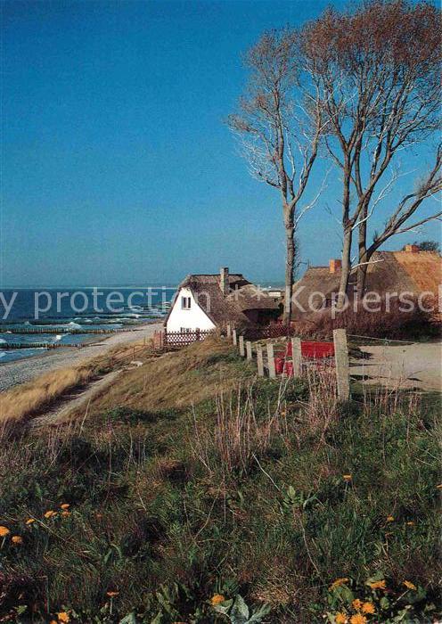Ahrenshoop Ostseebad Wohnhäuser am Strand Darß
