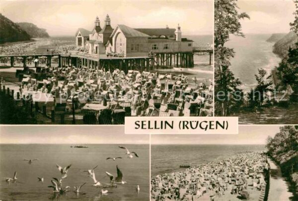 Sellin Ruegen Seebrücke Waldhalle Badestrand Möwen