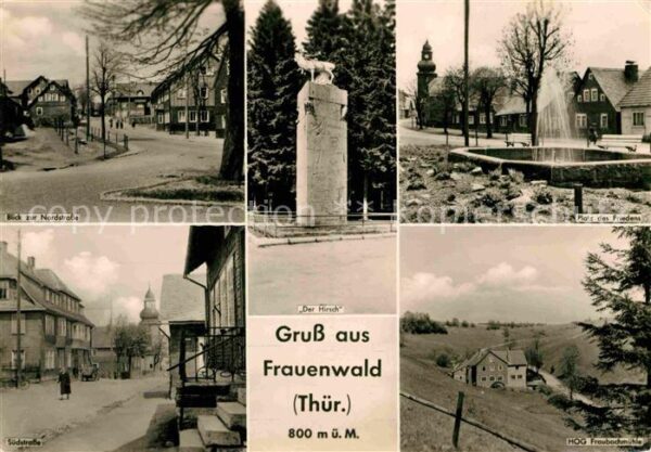 Frauenwald Thueringen Nordstrasse Hirsch Denkmal Platz des Fr