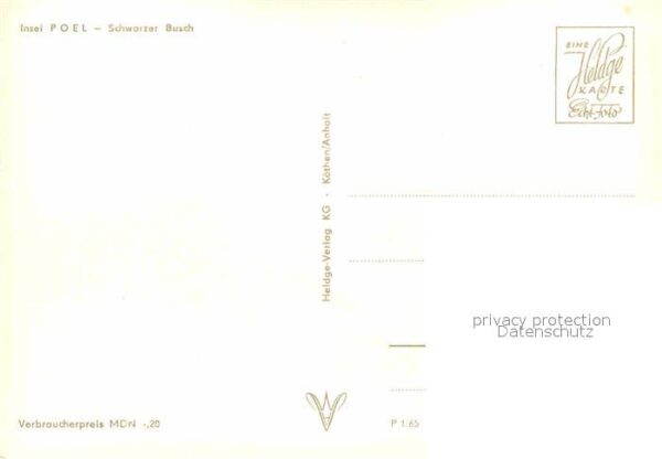 Insel Poel Schwarzer Busch – Bild 2