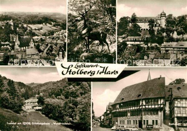 Stolberg Harz Panorama Blick von der Lutherbuche FDGB