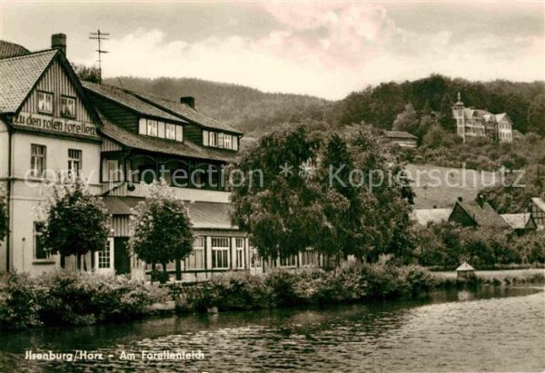 Ilsenburg Harz Partie am Forellenteich Gasthaus Restau