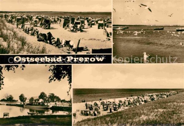 Prerow Ostseebad Strand Möwen Hafen