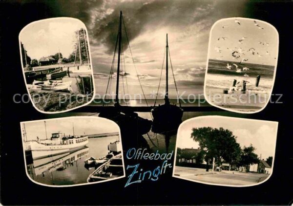 Zingst Ostseebad Hafen Ausflugsdampfer Strand Möwen