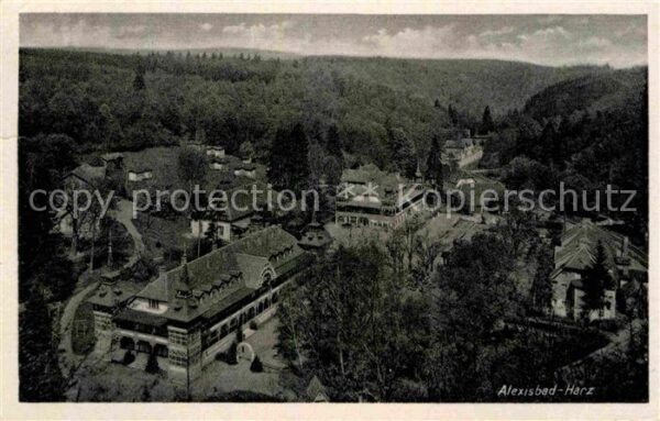 Alexisbad Harz Panorama