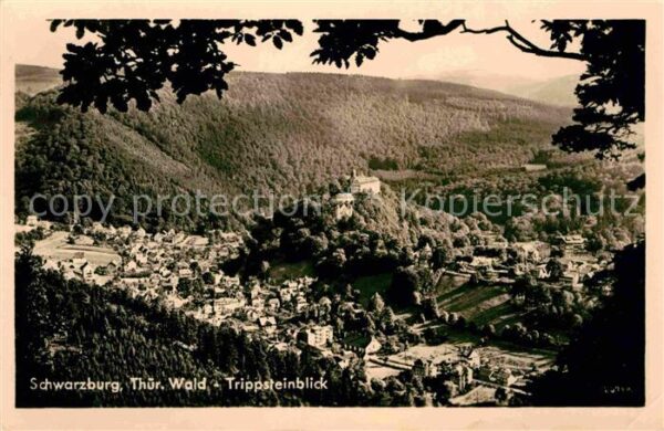 Schwarzburg Thueringer Wald Panorama Trippsteinblick