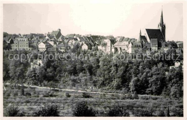 Leisnig Ortsansicht mit Kirche