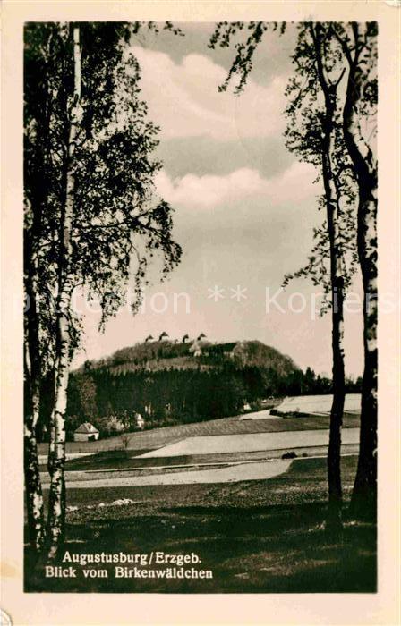 Augustusburg Panorama Blick vom Birkenwäldchen Schlo