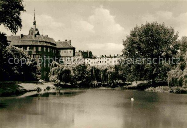 Weissensee Berlin Schwanenteich