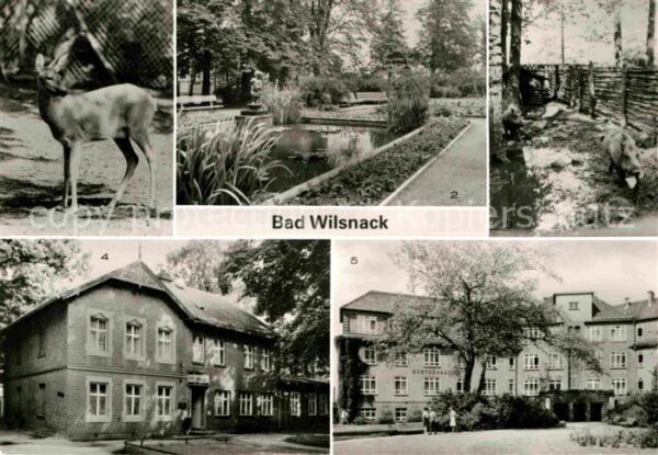 Bad Wilsnack Tierpark Parkanlagen Haus Birkengrund G