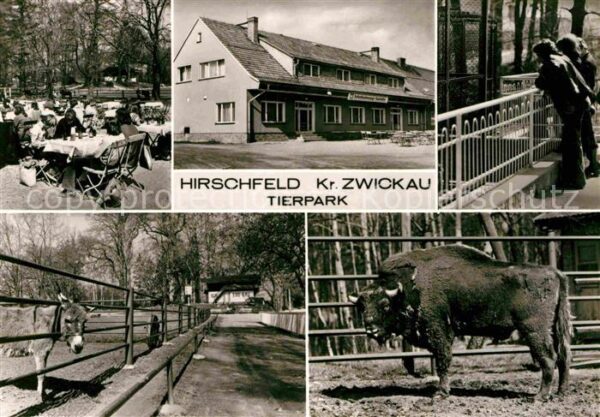 Hirschfeld Zwickau Gaststätte Terrasse Tierpark Esel Bison