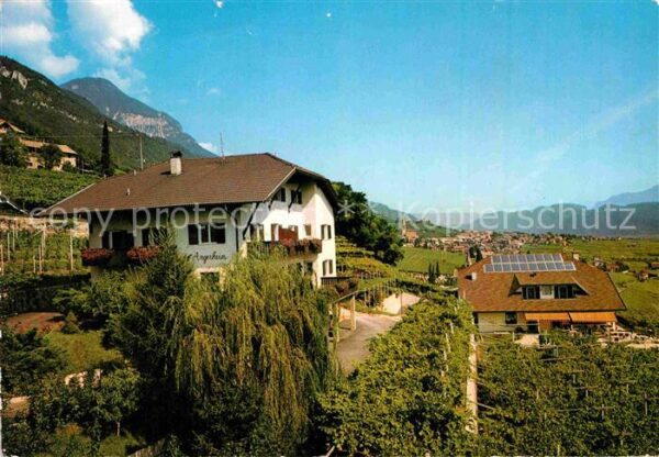 Tramin Weinstrasse  Pension Ritterhof