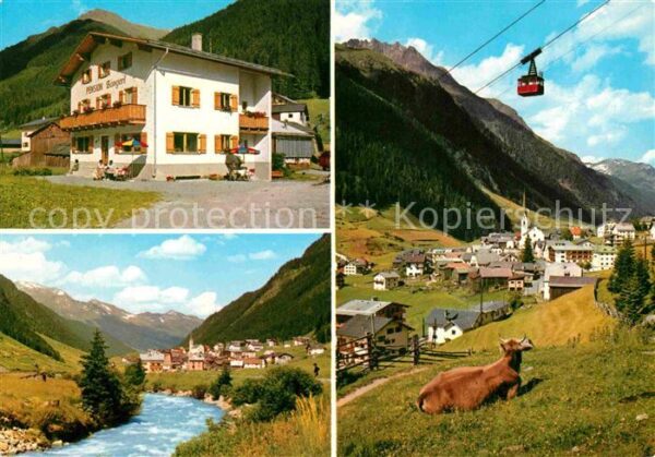 Ischgl Pension Zangerl Bergbahn Kuh Partie am