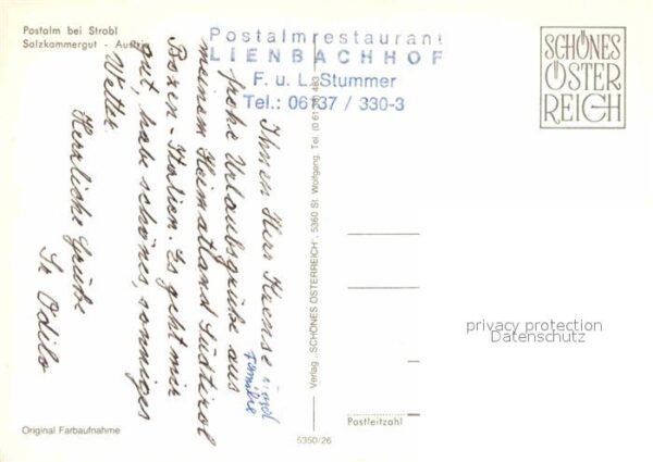 Strobl Postalm Bergrestaurant Alpenflora Kuh K – Bild 2