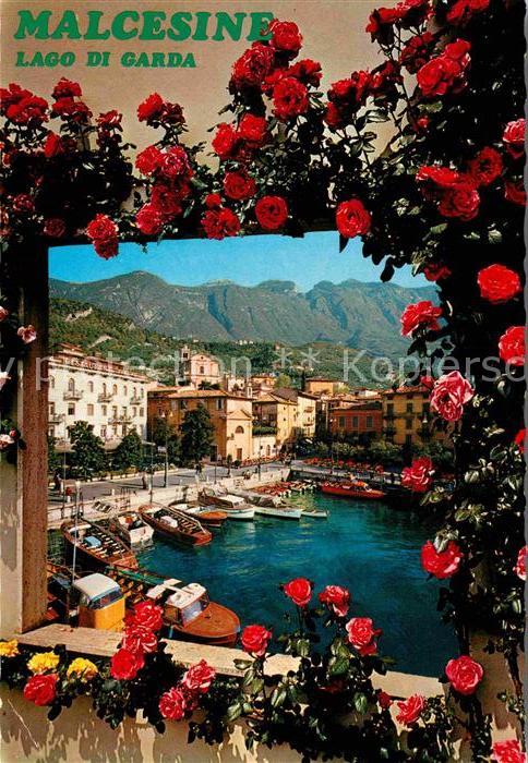 Malcesine Lago di Garda Hafen Rosenbusch