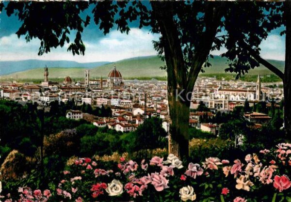 Firenze Florenz Panorama