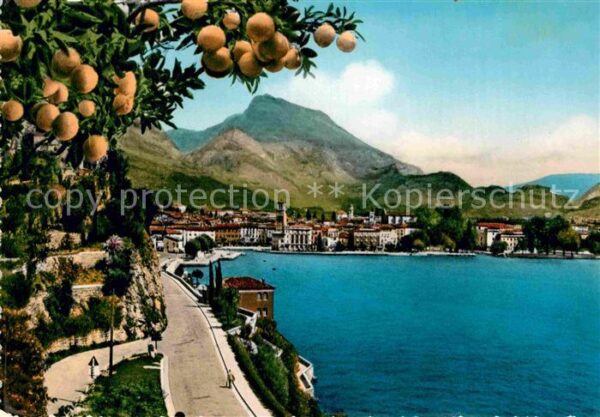 Riva del Garda Uferstrasse Gardasee Südfrüchte